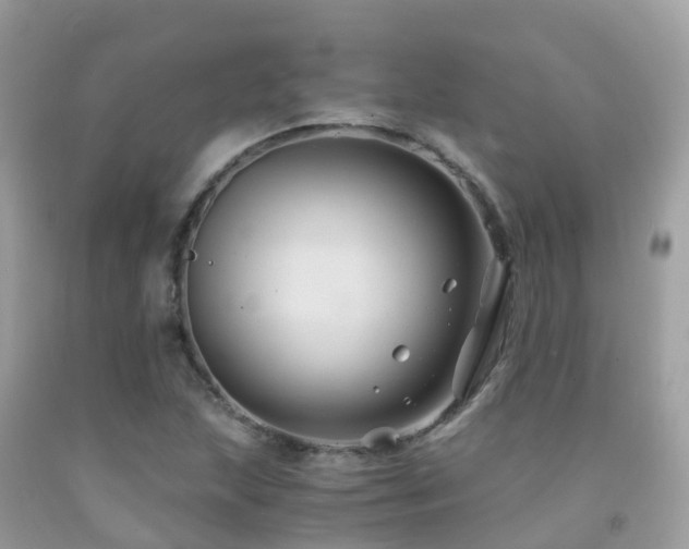 X0000091941215200709051515