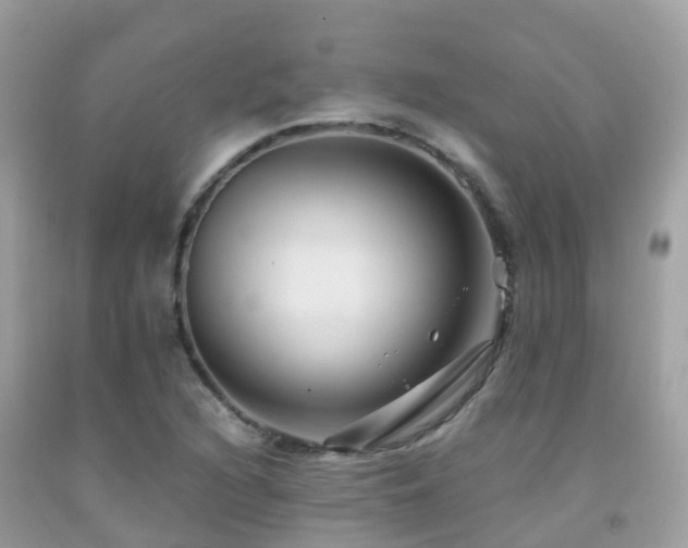 X0000091941216200709051515