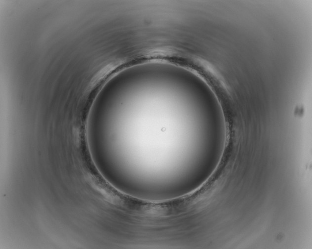 X0000091941217200709051515