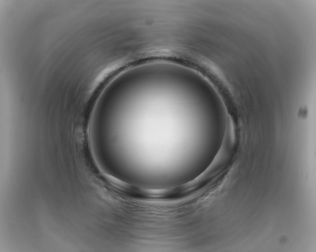 X0000091941218200709051515