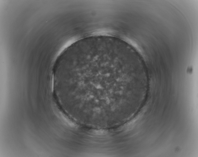 X0000091941219200709051515