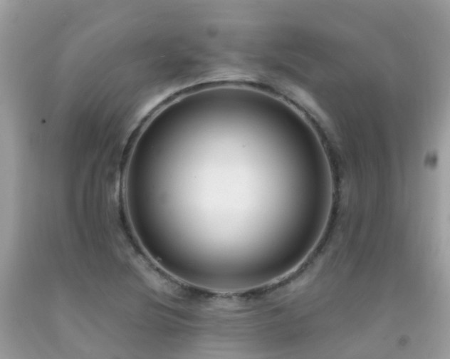 X0000091941220200709051515