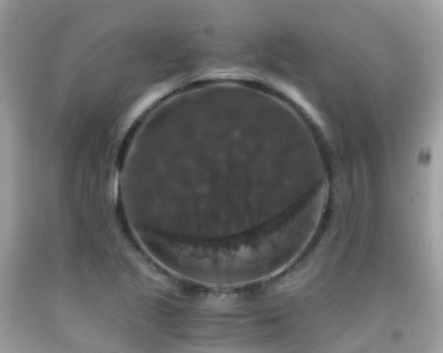 X0000091941221200709051515