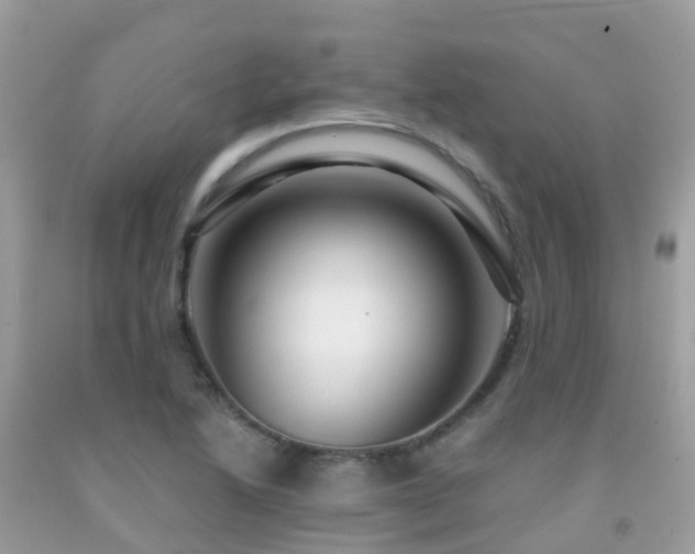 X0000091941222200709051515