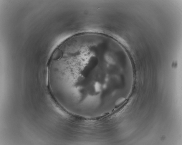 X0000091941223200709051515