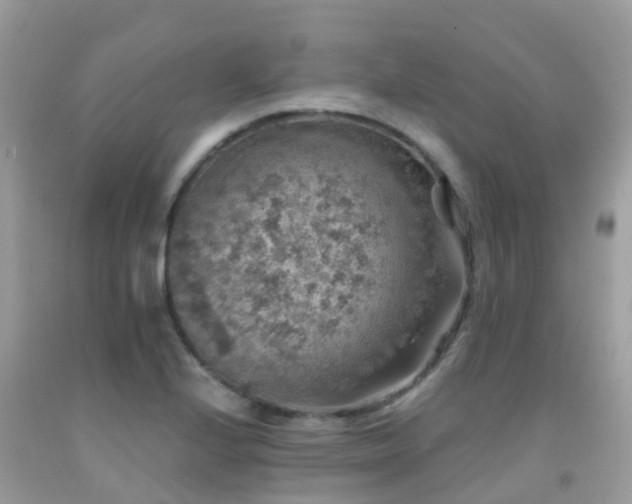 X0000091941224200709051515