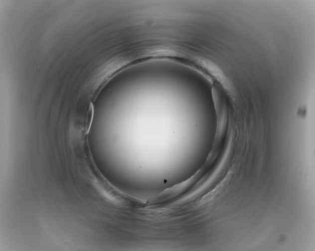 X0000091941225200709051515