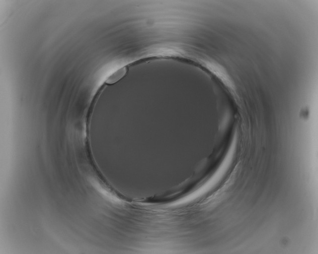 X0000091941226200709051515