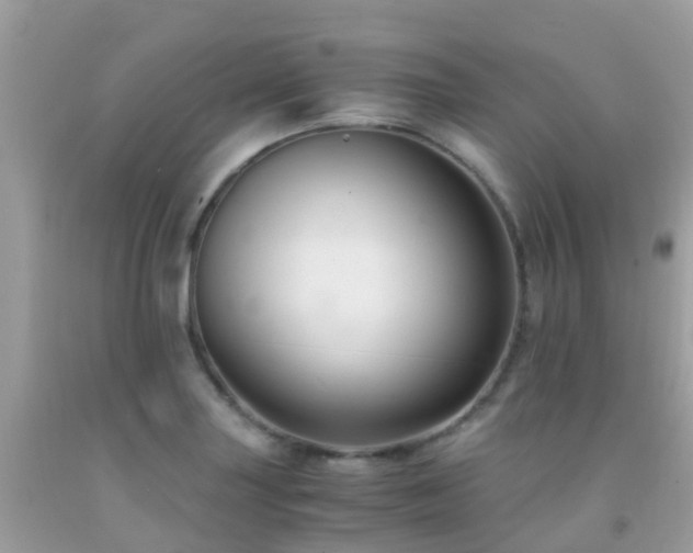 X0000091941227200709051516