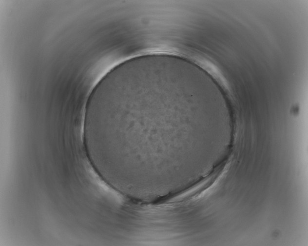 X0000091941228200709051516