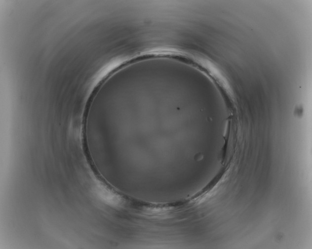 X0000091941229200709051516