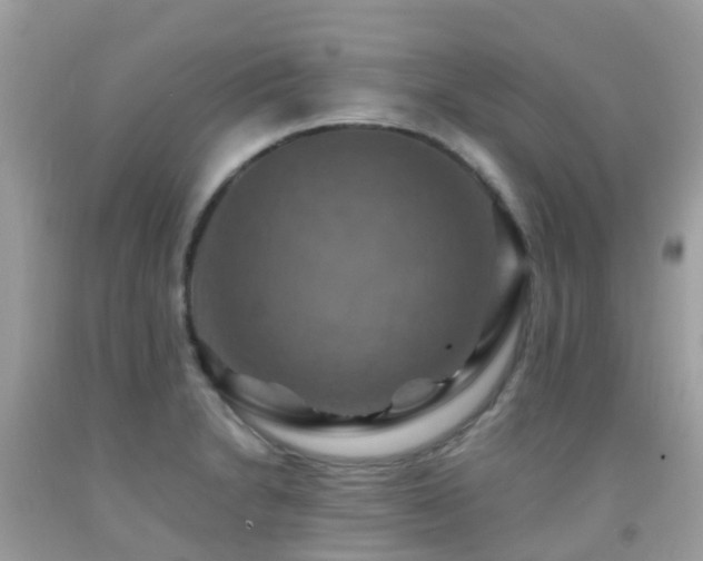 X0000091941230200709051516