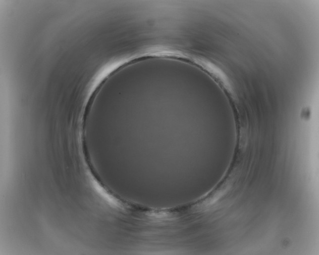 X0000091941231200709051516