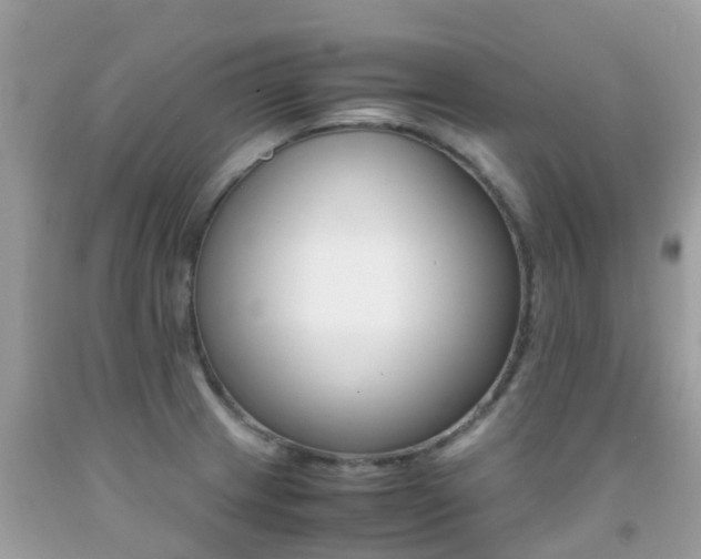 X0000091941233200709051516