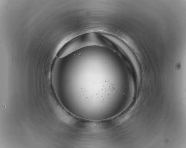 X0000091941234200709051516