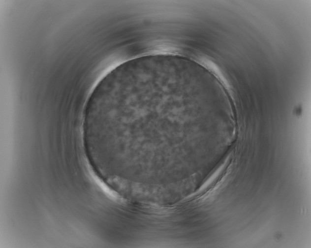 X0000091941235200709051516