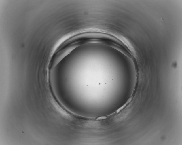 X0000091941238200709051516