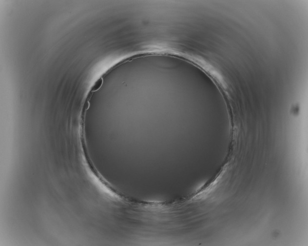 X0000091941239200709051516