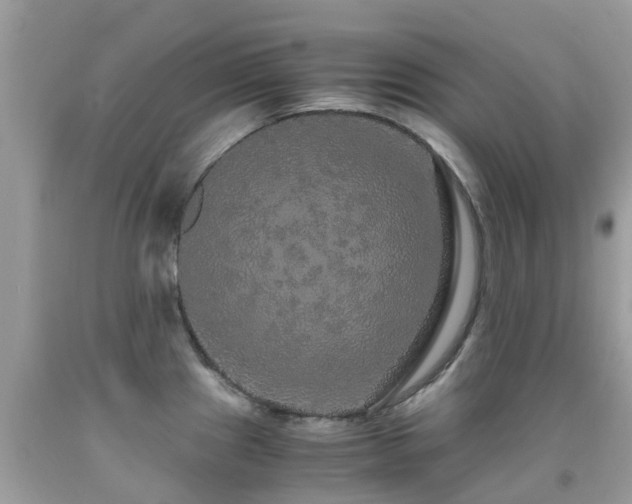 X0000091941241200709051516