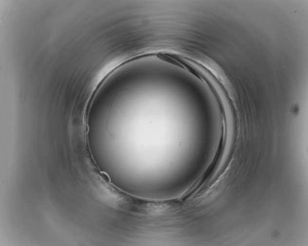 X0000091941242200709051516