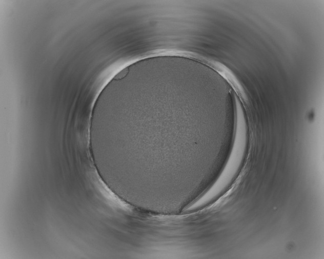 X0000091941244200709051516