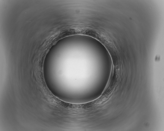 X0000091941249200709051515