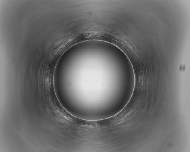 X0000091941250200709051515