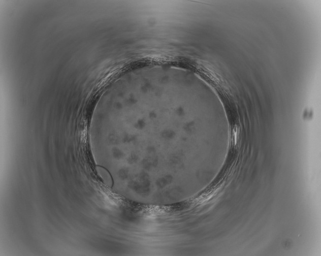 X0000091941251200709051515