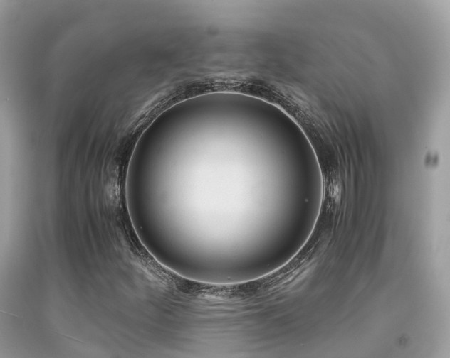 X0000091941252200709051515