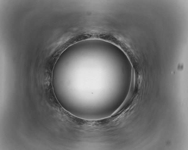 X0000091941253200709051515