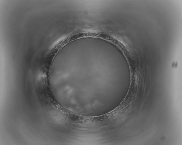 X0000091941254200709051515