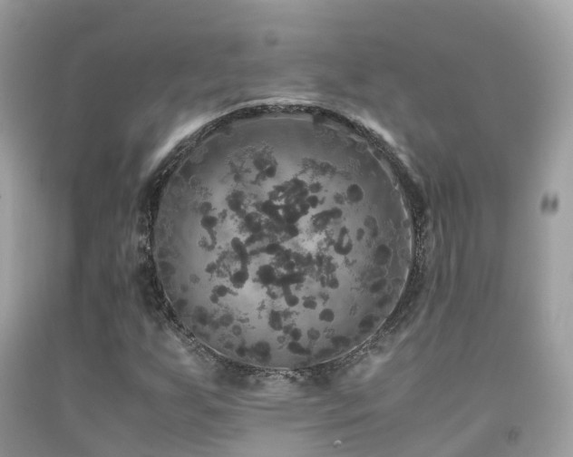 X0000091941255200709051515