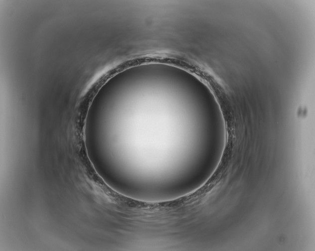 X0000091941256200709051515