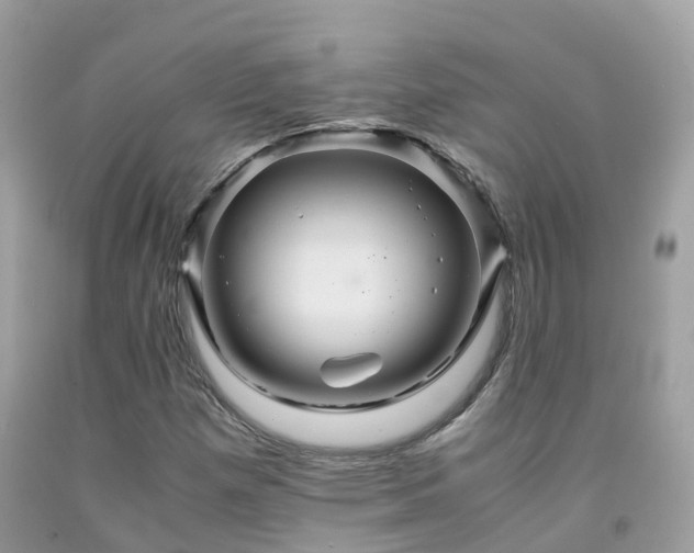 X0000091941257200709051515