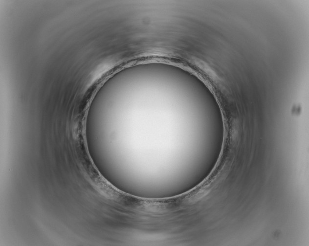 X0000091941258200709051515