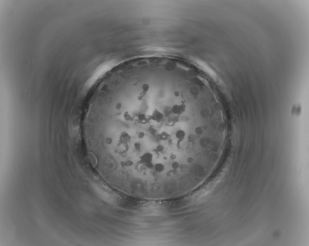 X0000091941259200709051515