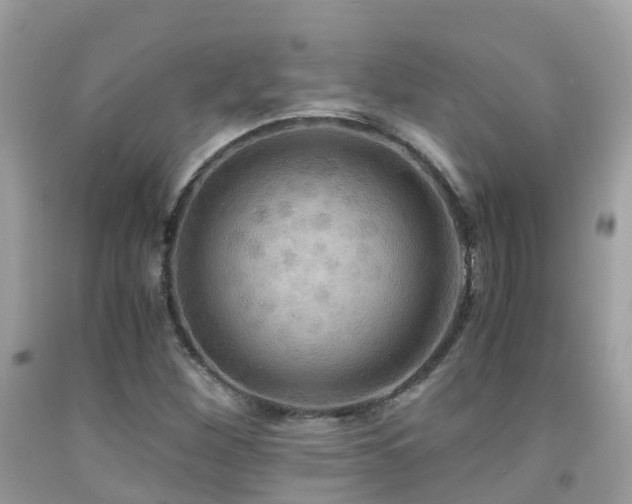 X0000091941260200709051515