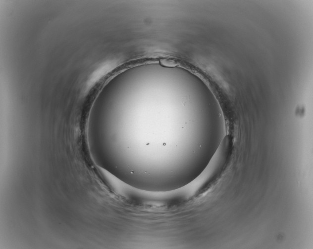 X0000091941261200709051515