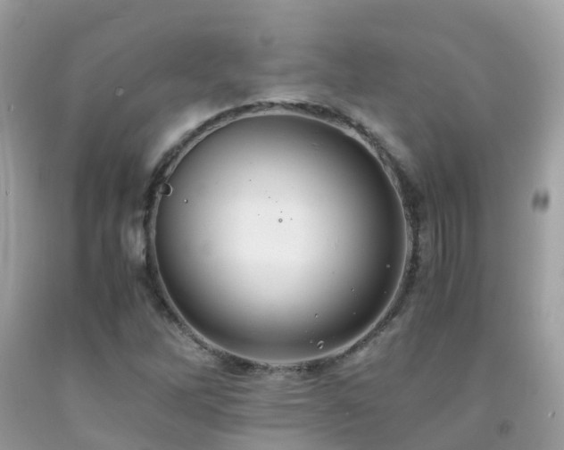 X0000091941262200709051515