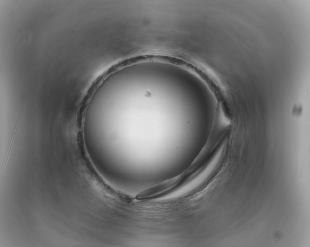 X0000091941264200709051515