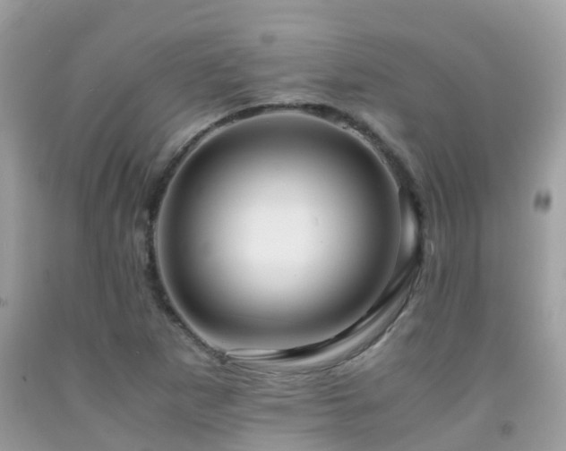 X0000091941265200709051515