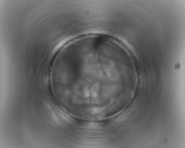 X0000091941266200709051515