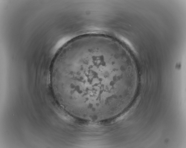 X0000091941267200709051515