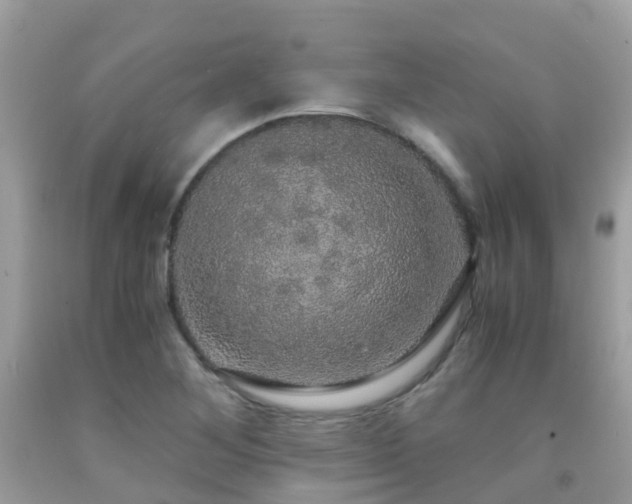 X0000091941268200709051515