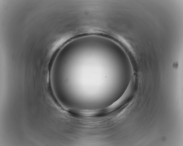 X0000091941269200709051515