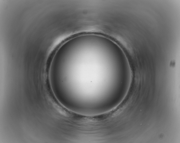 X0000091941270200709051515