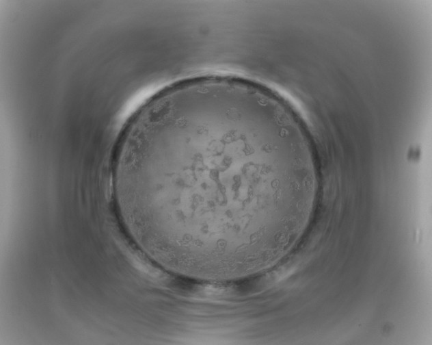 X0000091941271200709051515