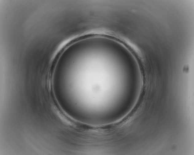 X0000091941272200709051515