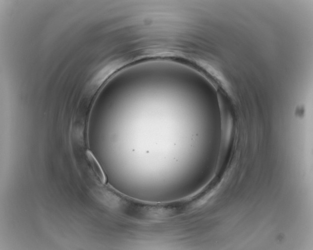 X0000091941273200709051515