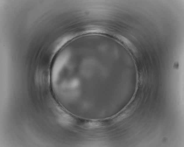 X0000091941274200709051515